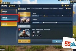 和平精英画质流畅设置技巧分享，和平精英及致流畅画质设置技巧分享